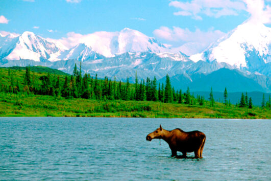 Clásico Expreso-Canadá