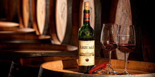 Ruta del Vino: Ribera del Duero y Rioja